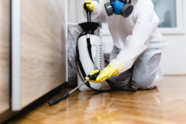Best Commercial Pest Control Services  in Wilkinsburg, PA