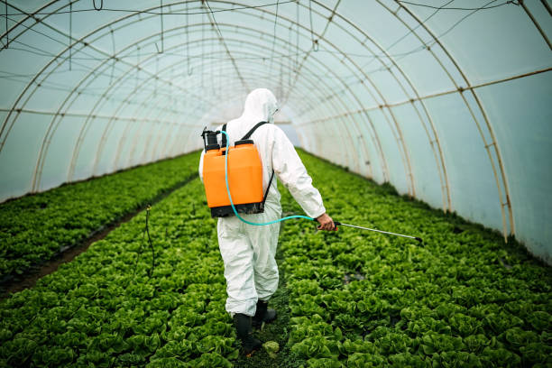 Best Residential Pest Control  in Wilkinsburg, PA