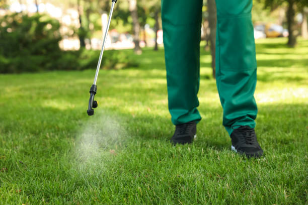 Best Insect Control  in Wilkinsburg, PA