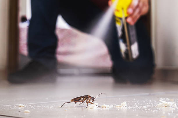 Wilkinsburg, PA Pest Control Company
