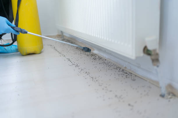 Best Pest Prevention Services  in Wilkinsburg, PA