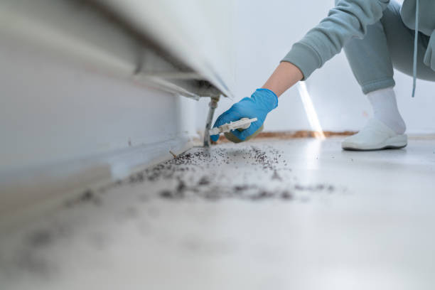 Best Cockroach Control Services  in Wilkinsburg, PA